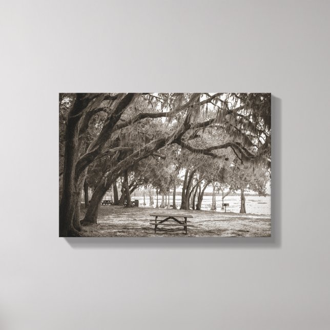 Impressão Em Tela Lago Louisa SP nº 2 (Frente)