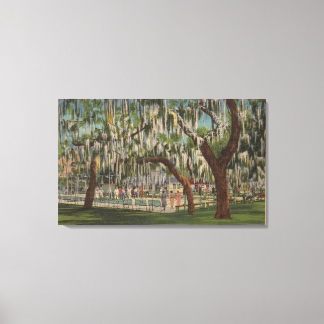 Impressão Em Tela Lago Wales, FL - Vista exterior do Shuffleboard (Frente)