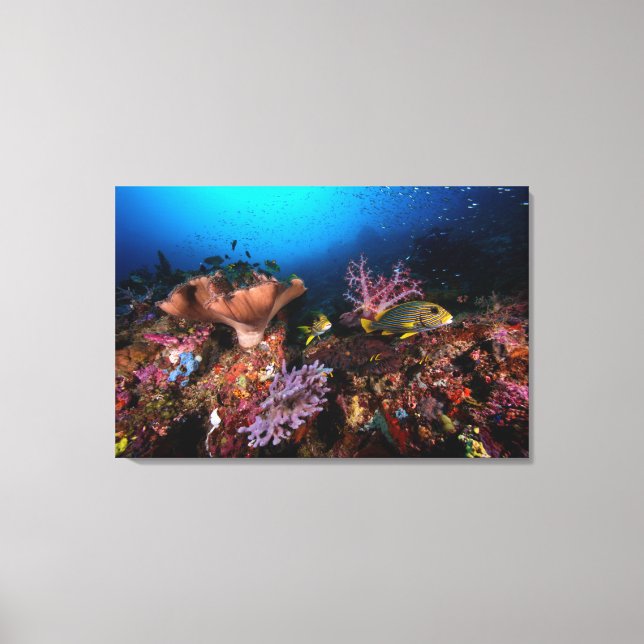 Impressão Em Tela Laja Ampat Underwater (Frente)