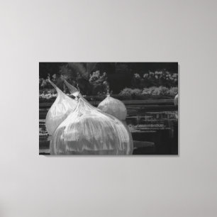 Impressão Em Tela Lâmpadas de vidro flutuantes