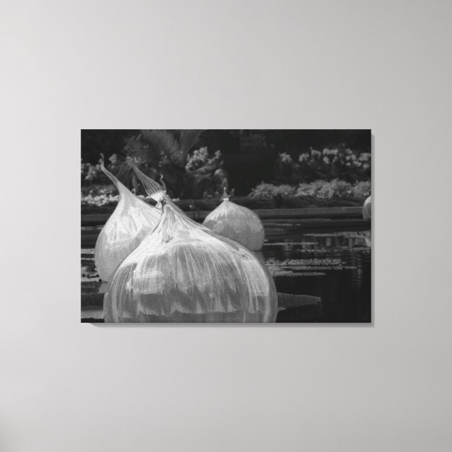 Impressão Em Tela Lâmpadas de vidro flutuantes (Frente)