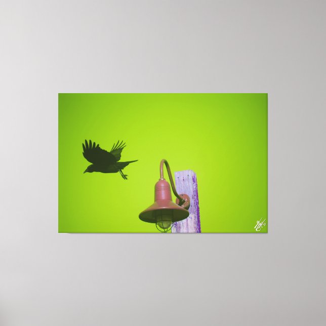 Impressão Em Tela Langley Crow na Série Light Posta #5 (Frente)