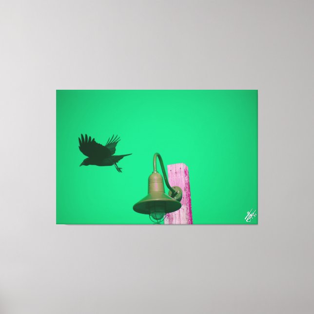 Impressão Em Tela Langley Crow na Série Light Posta #7 (Frente)