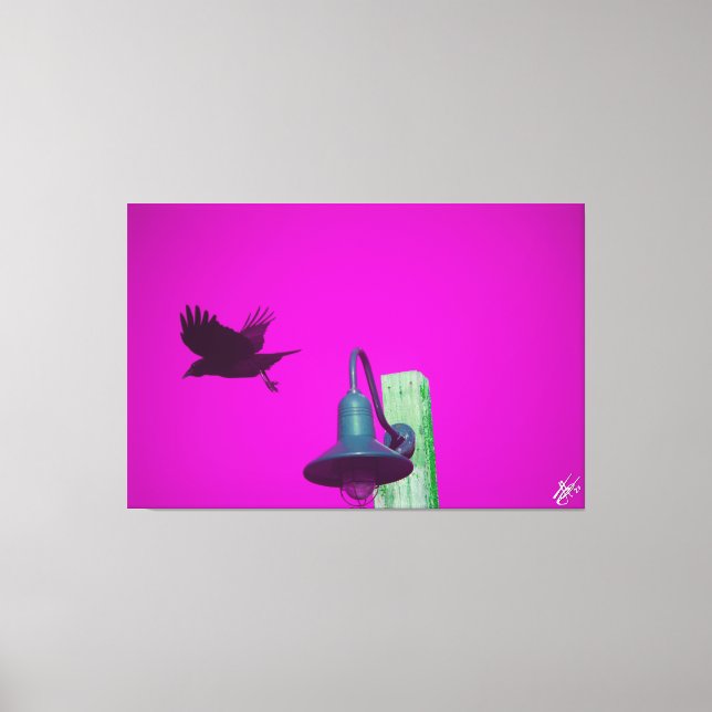 Impressão Em Tela Langley Crow na Série Light Posta #8 (Frente)