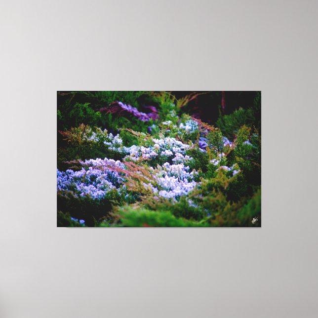 Impressão Em Tela Langley Waterfront #5 (Frente)