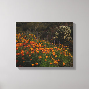 Impressão Em Tela Laranja Poppies Deserto Flores Selvagens Cholla Ca