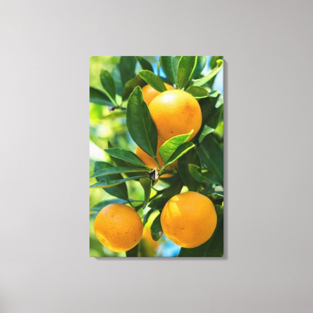 Impressão Em Tela Laranjeira Frutífera (Frente)