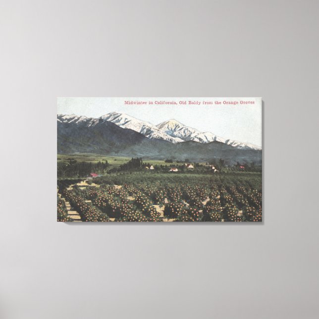 Impressão Em Tela Laranjeiras com Antigo Monte Balvo à Distância (Frente)