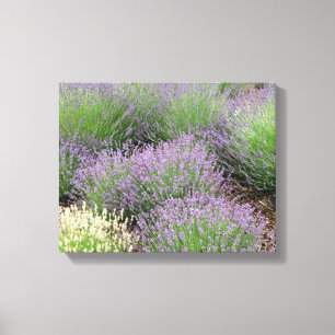 Impressão Em Tela Lavanda adorável
