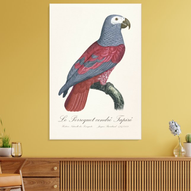 Impressão Em Tela Le Perroquet cendre Tapire (Insitu(Sala de estar))