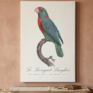 Impressão Em Tela Le Perroquet Langlois