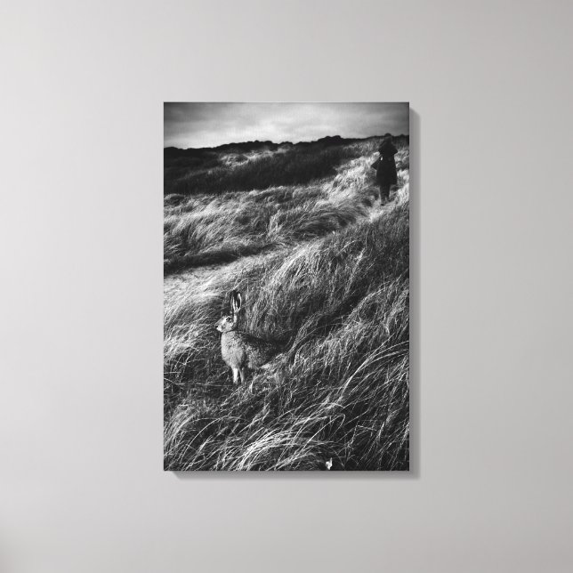 Impressão Em Tela Le Rendez-vous d'Alice Wonderland fotografia de ar (Frente)