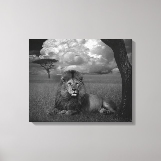 Impressão Em Tela Leão na grama (Frente)