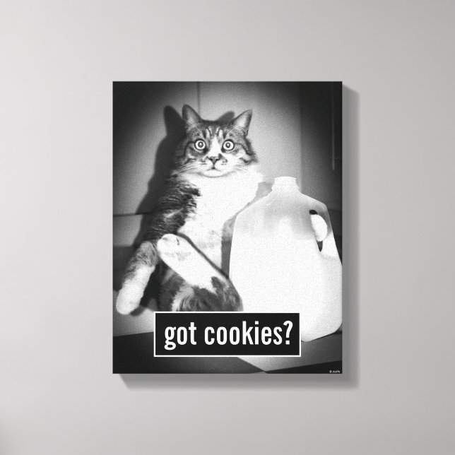 Impressão Em Tela Leite De Bebendo De Gato De Jug (Frente)