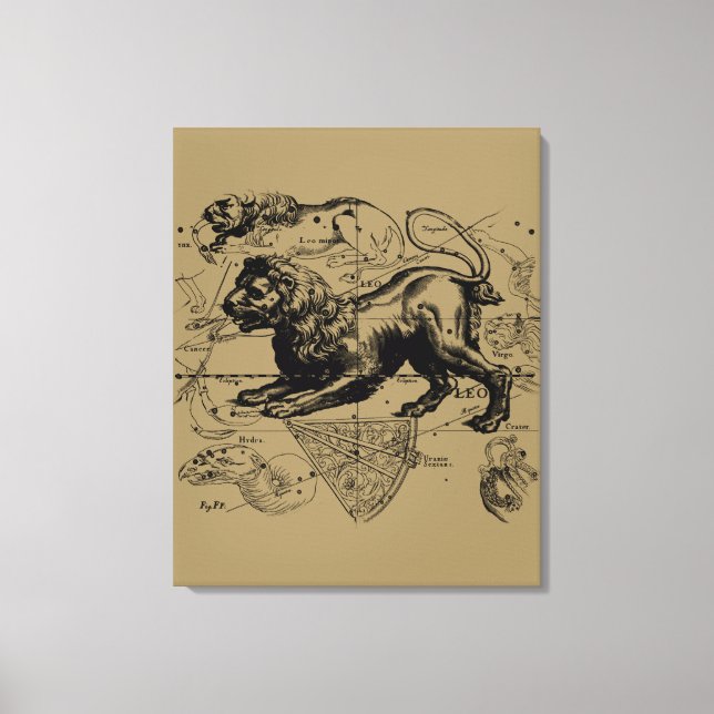 Impressão Em Tela Leo Constelle Hevelius 1690 julho 23 agosto 22 (Frente)