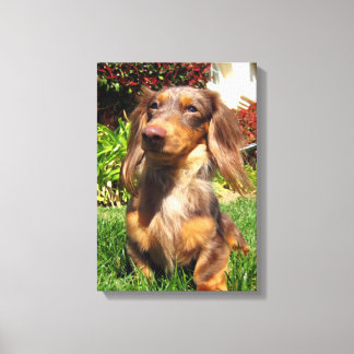 Impressão Em Tela leonidas