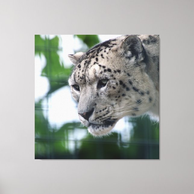 Impressão Em Tela Leopard 003 (Frente)
