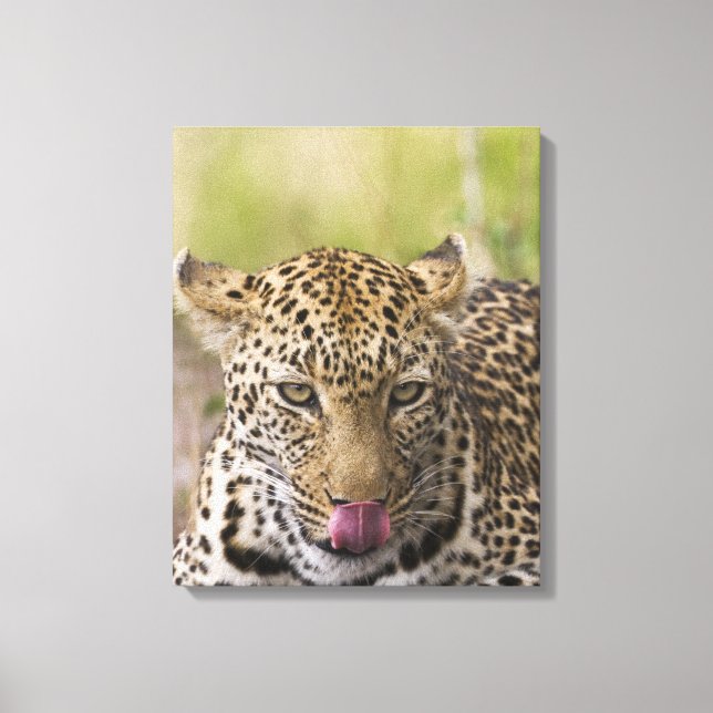 Impressão Em Tela Leopardo (Frente)