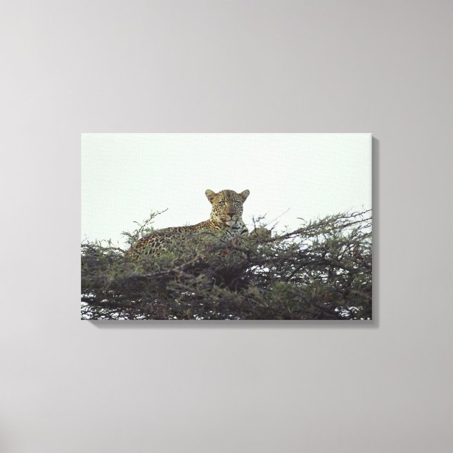 Impressão Em Tela leopardo africano (Frente)