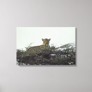 Impressão Em Tela Leopardo africano