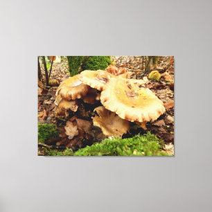 Impressão Em Tela Leucopaxillus giganteus Mushroom