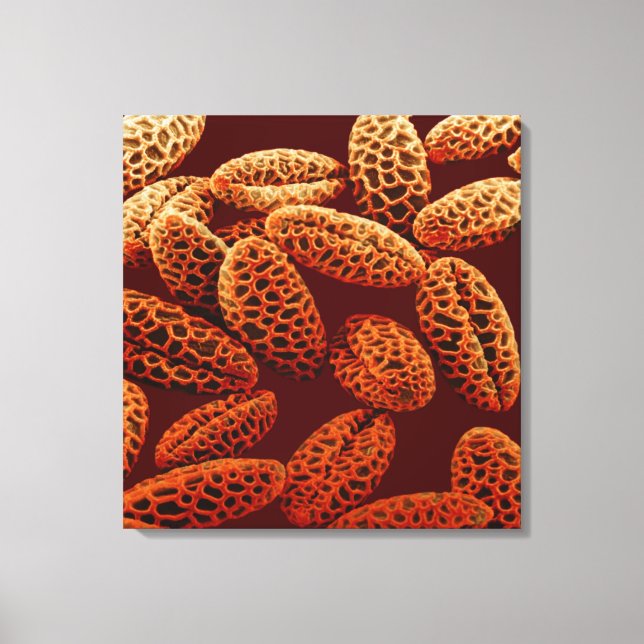 Impressão Em Tela Lily (Frente)