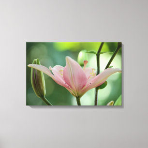 Impressão Em Tela Lily-Bokeh rosa por Shirley Taylor