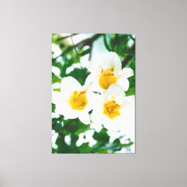 Impressão Em Tela Lily Branca - Candidato a Lilium