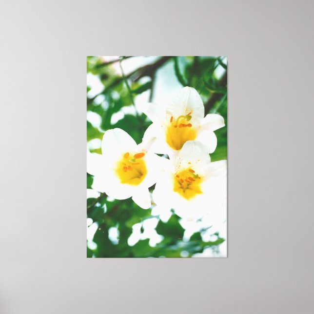 Impressão Em Tela Lily Branca - Candidato a Lilium (Frente)