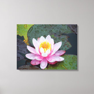 Impressão Em Tela Lily de água com gotas de chuva Tela estendida Imp