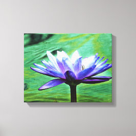 Impressão Em Tela Lily de água púrpura