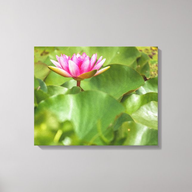 Impressão Em Tela Lily de Água Rosa (Frente)