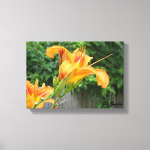 Impressão Em Tela lily de tigre
