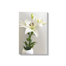 Lily Lullaby | Pintura Floral Simples Branca