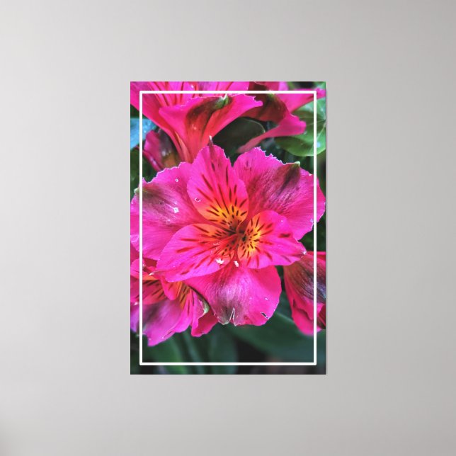 Impressão Em Tela Lily Pink, Peruana (Frente)