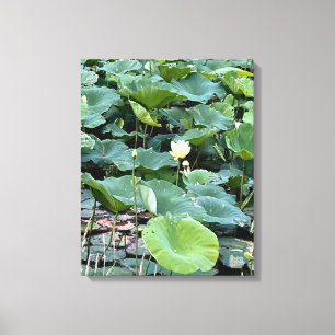 Impressão Em Tela Lilyshade Silêncio 16 x 20