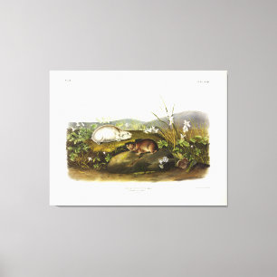 Impressão Em Tela Limpeza da Baía de Hudson (Colarada de Ungava) por