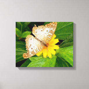 Impressão Em Tela linda borboleta branca mariposa-amarela