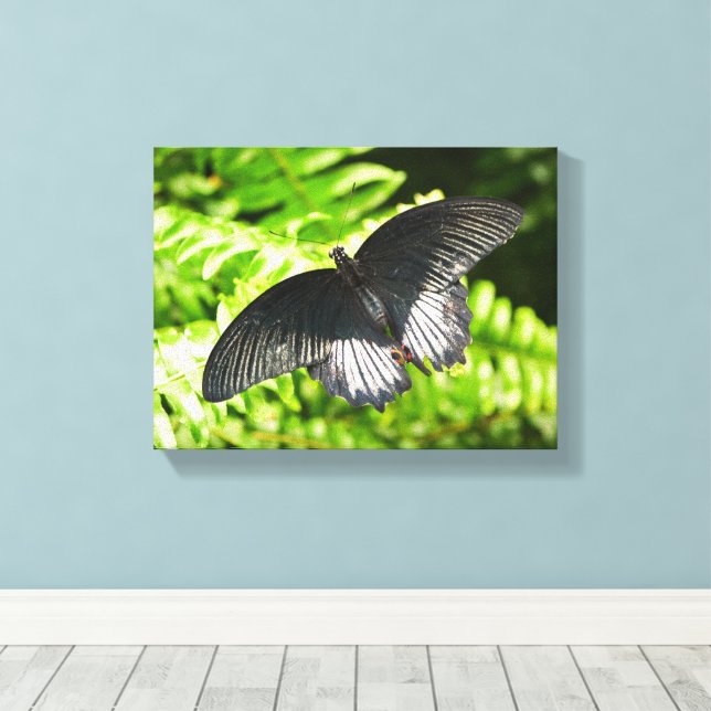 Impressão Em Tela Linda Borboleta Negra Insetos Natureza (Insitu(piso de madeira))