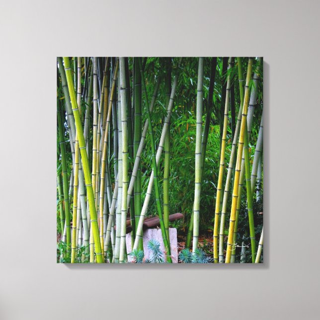 Impressão Em Tela Linda cinza de bambu verde-amarelo (Frente)