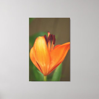 Impressão Em Tela Linda e meio florescente lily de ouro