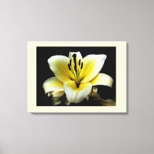 Linda Flor Amarela Elegante no Preto
