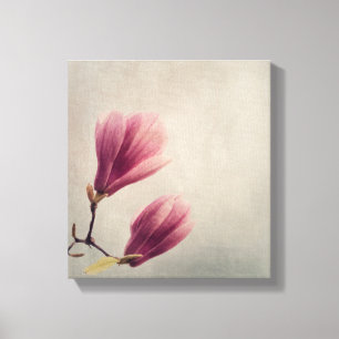 Impressão Em Tela Linda flor pastel magnolia