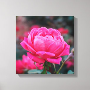 Impressão Em Tela Linda flor rosa rosa rosa