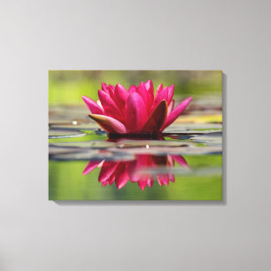 Impressão Em Tela Linda Lily De Água Flutuante Vermelha