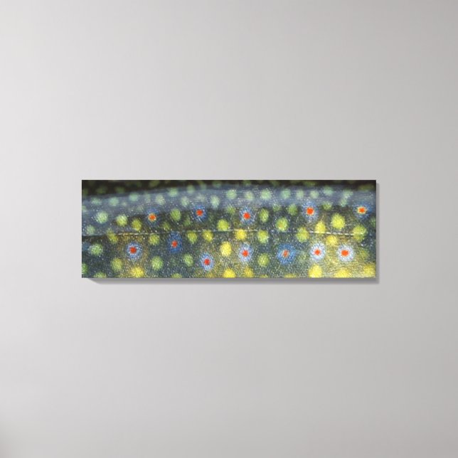 Impressão Em Tela Linda pele, Jordan River Brookie" (Frente)