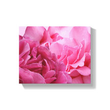 Linda rosa moderna floral bonita elegante