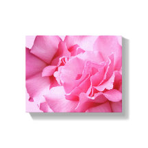 Linda rosa rosa abstrata bonita floral moderna
