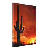 Poster Jardim De Cactus Caquetado Em Pote