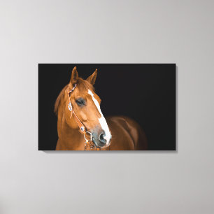 Impressão Em Tela Linda tela de foto de Quarter Horse